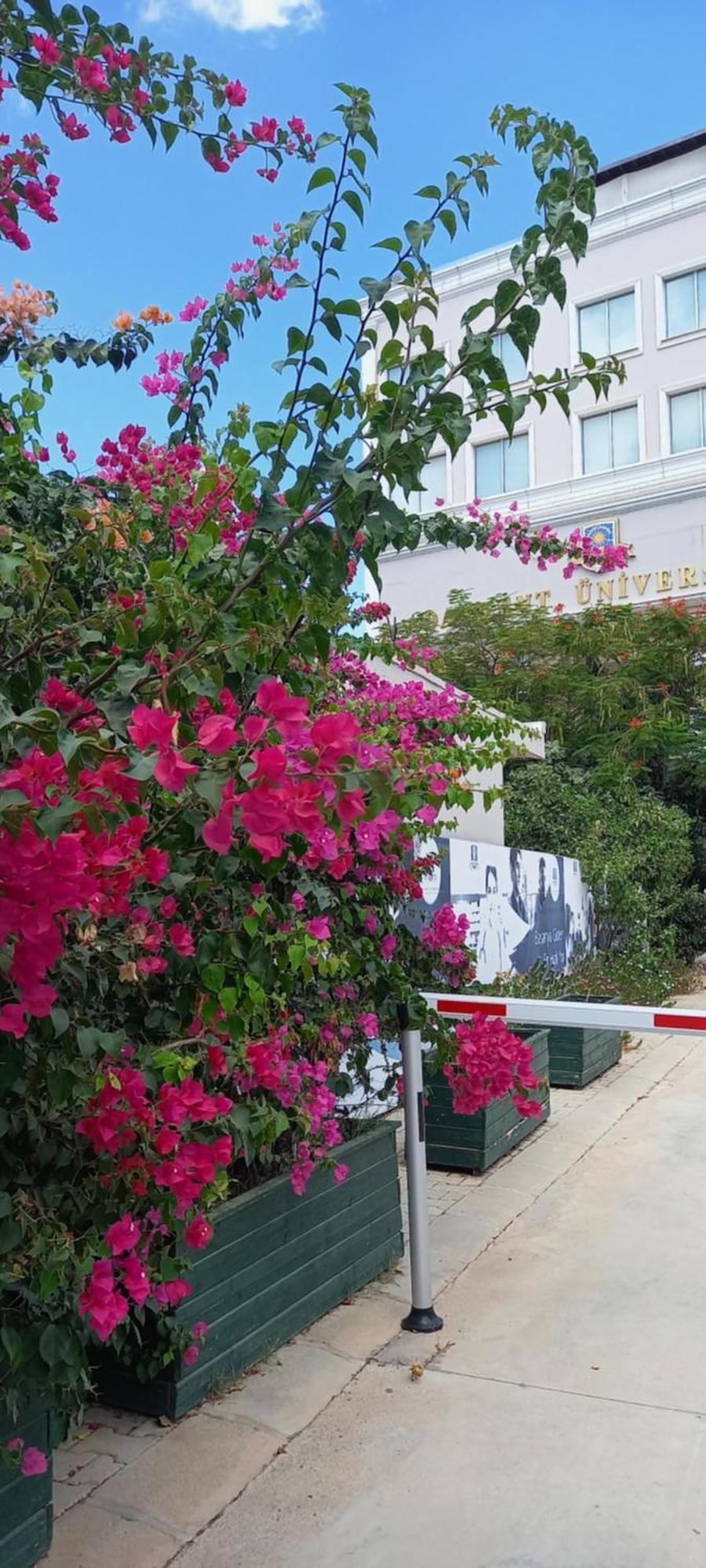 Studio Lux Famagusta  Exterior foto